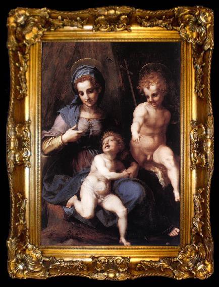 framed  Andrea del Sarto Madonna and Child with the Young St John, ta009-2